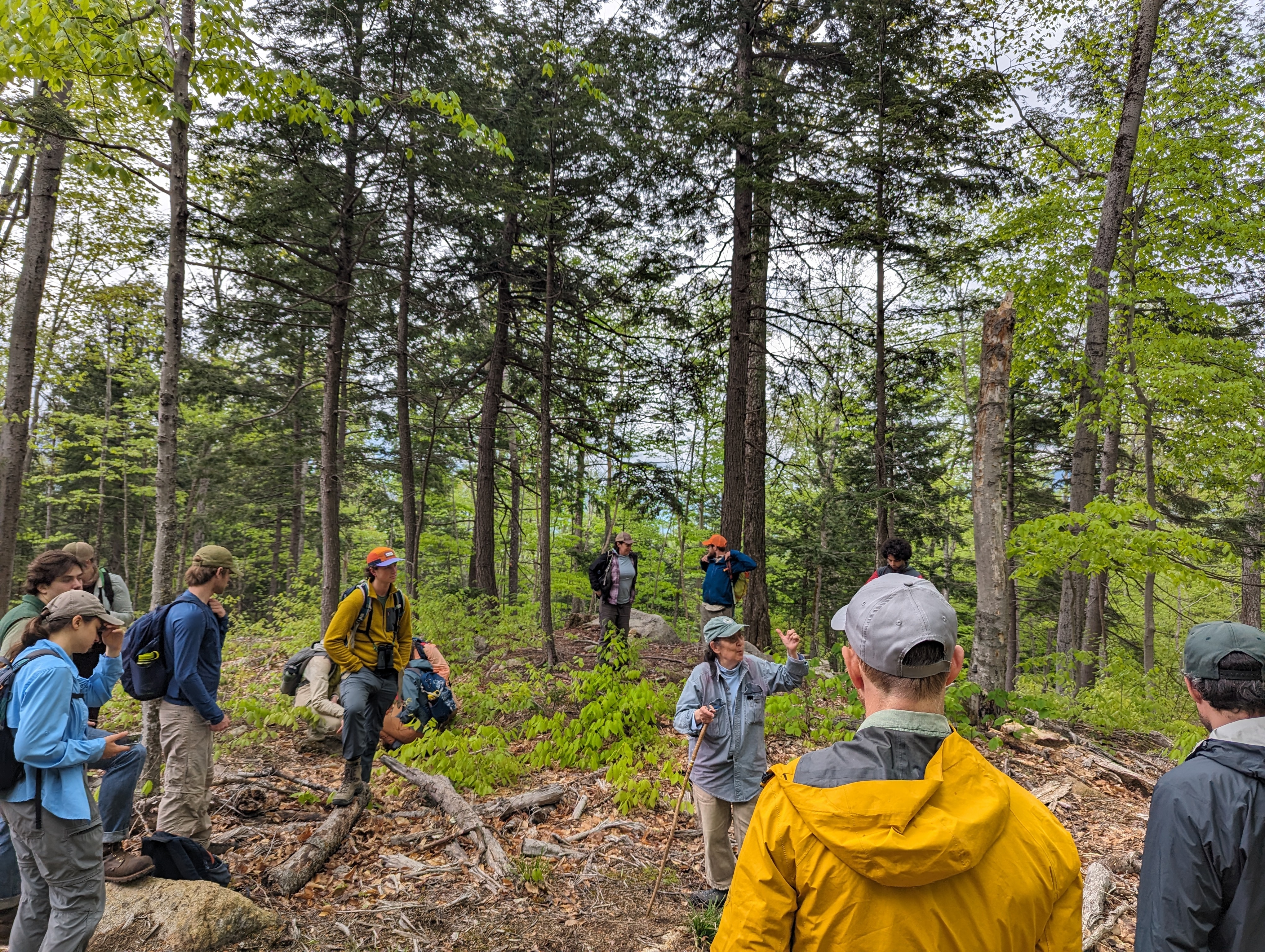 group of people standing in forest