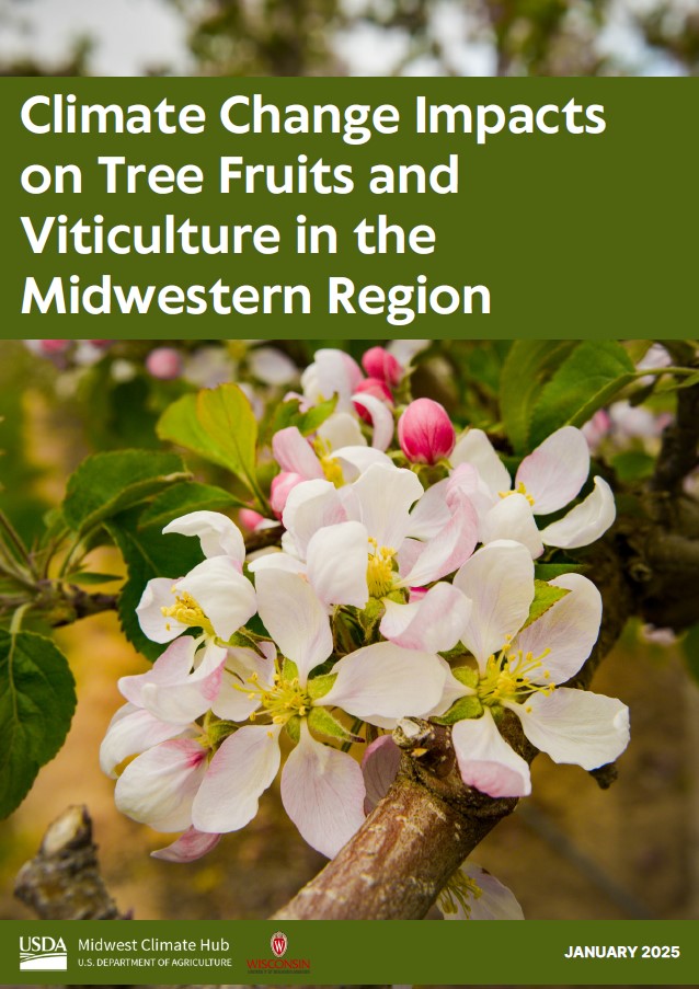 Cover image for report, Climate Change Impacts on Midwest Tree Fruits and Vineyards