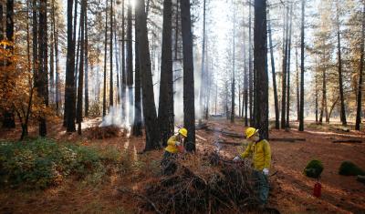 Two firefighters carry out a prescribed pile burn in Shasta-Trinity National Forest.