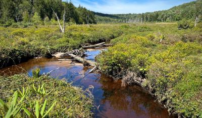 stream running through land