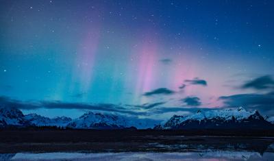 The aurora borealis dances pink and green above snow-capped mountains on the Chugach National Forest. 