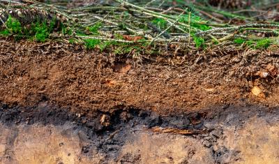 An image showing layers of soil. 