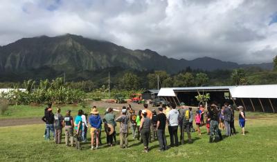 A group of community members learning about the place and preparing to help steward the agroforestry restoration site at Puʻulani, Kākoʻo ʻŌiwi 