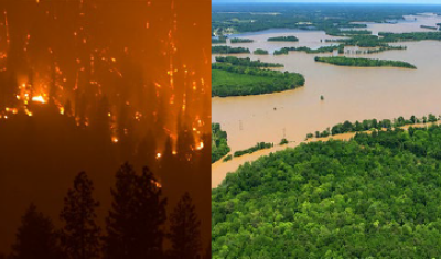 Two pictures: First is a forest burning brightly orange; Second is a river overflowing it's banks into surrounding areas.