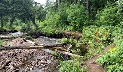 Celebrating 10 Years USDA Climate Hubs   Forest River 