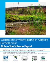 cover of the report