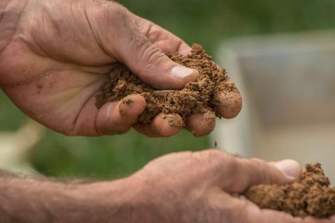 Hands of a person feeling soil 20 minutes after a rain simulator applied 2 inches of water. Photo credit USDA NRCS