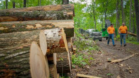 Through its Wood Innovations grants, the Forest Service is assisting in developing new markets for companies like Great Lakes Timber Professionals in Wisconsin.  (USDA Forest Service photo by Preston Keres)