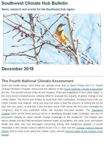 December 2018 Bulletin