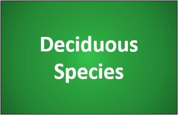 Deciduous Species box used on the USNAP webpage to link to more information