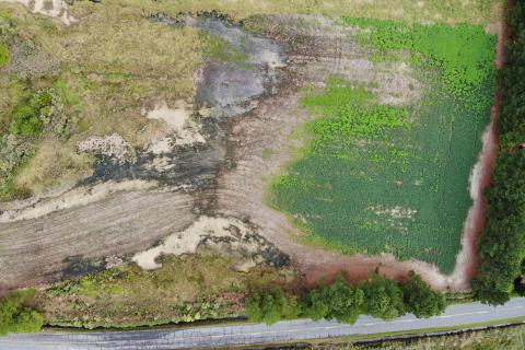An aerial view of a farm field affected by saltwater intrusion. Gray areas of the field are where salt damage has occurred. Somerset County, Maryland.