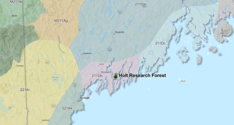 Map of Holt Research Forest Location