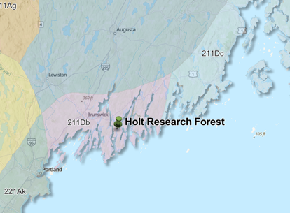 Map of Holt Research Map
