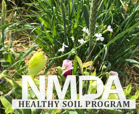 Picture of cover crops with New Mexico Department of Agriculture logo
