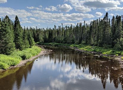 View from a bridge of a wide river surrounded by conifer trees and grass