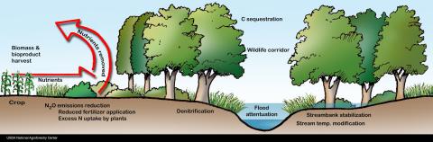 a diagram showing the benefits riparian areas provide