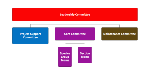 USNAP Team Structure