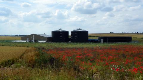 an anaerobic digester with a field of red flowers in front of it