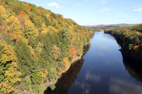 River with yellow and green trees