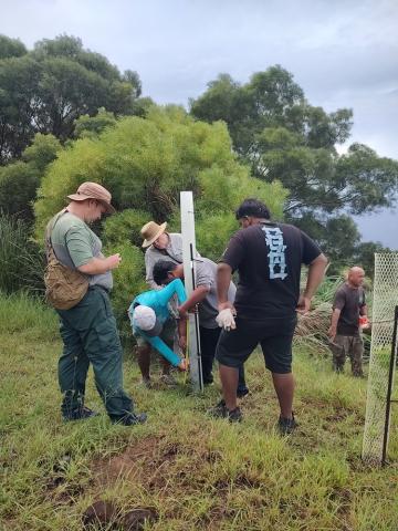 A group of six people standing around a post in the ground in a grassy area. Two people are taking measurements of something growing alongside the post.