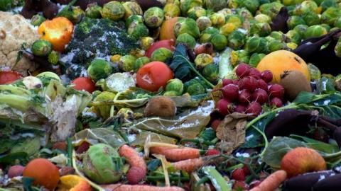 A rotten pile of uneaten vegetables