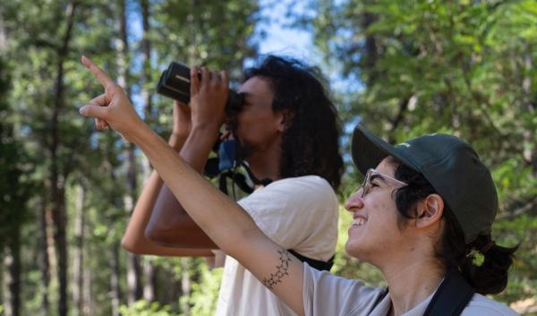 District Database Coordinator Felix Mahootian points out a Steller's jay (Cyanocitta stelleri) in a tall pine tree. Biological Science Tech Isaac Henderson searches for the bird on the Mt. Hough Ranger District of the Plumas National Forest, July 26, 2024. (USDA Forest Service Photo by Jamie Chambers)