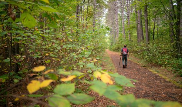 September, 24, 2024. USDA Forest Service employee Daniel Ballantyne enjoys the start of fall colors along the Migizi Trail on the Chippewa National Forest.