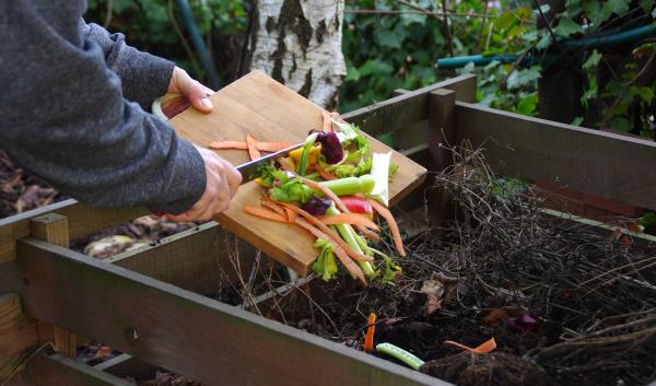 An image of food being scraped onto a compost pile. 