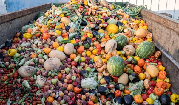 A pile of food waste. 