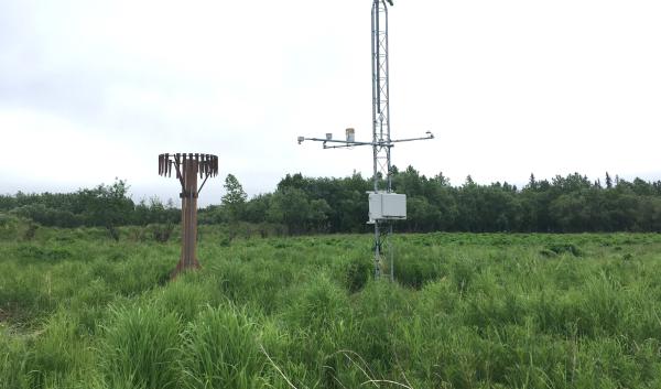 A SNOTEL site in Aniak, Alaska