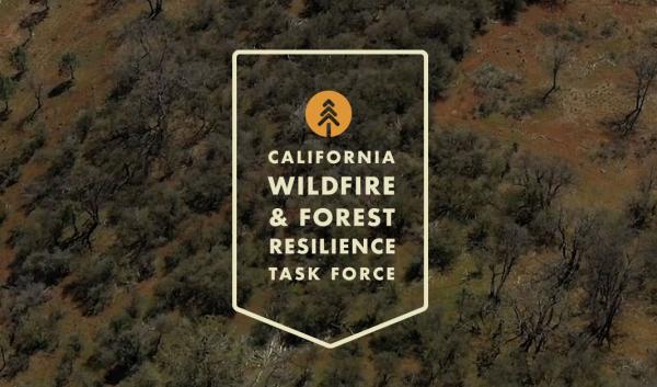 The California Wildfire and Forest Resilience Task Force logo.