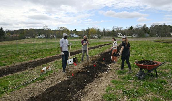 Volunteers at the Agroforestry Research and Demonstration Site in Orono, Maine planting bare root elderberries