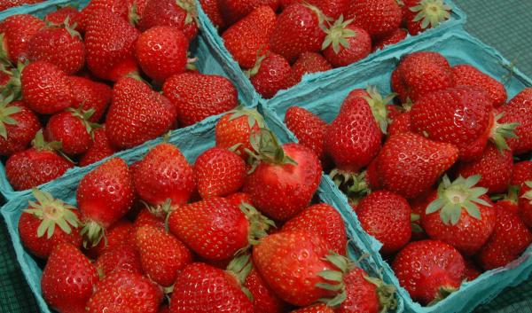 Baskets of strawberries