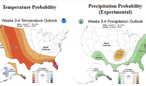 Example maps showing the 3-4 week-outlooks for temperature and precipitation 